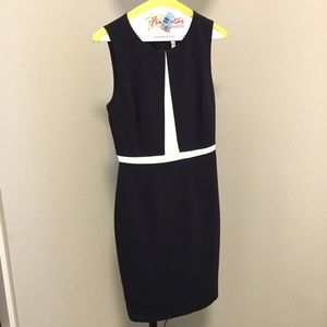 The Limited Dress Navy Blue White Fitted